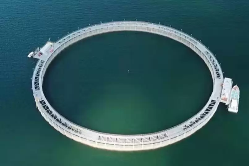 宝能オレンジフィッシングサンドホテルサメ網プロジェクト