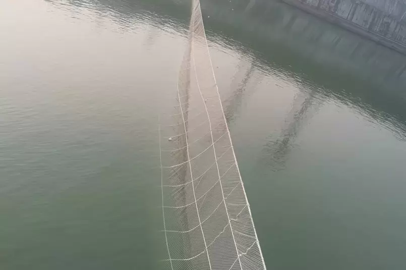 長江三峡養殖の中国チョウザメ255メートル堰堤網